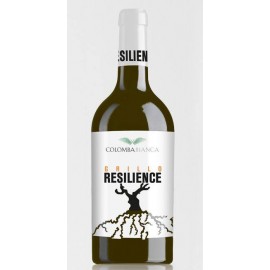 Resilience Grillo Sicilia D.O.C. - Colomba Bianca
