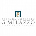 Vignavella Bianco - Azienda Milazzo