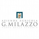 Vignavella Bianco - Azienda Milazzo