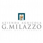 Vignavella Bianco - Azienda Milazzo