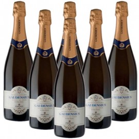 Gaudensius Brut | Blanc de Noir | Etna D.O.C. Firriato | Promo Sei Bottiglie