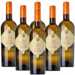 Fina Kikè I.G.T Terre Siciliane - Casa Vinicola Fina