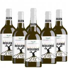 Resilience Grillo Sicilia D.O.C. | Colomba Bianca | Six Promo