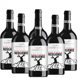 Resilience Nero d'Avola - Sicilia D.O.C. | Colomba Bianca | Promo Sei Bottiglie