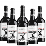 Resilience Nero d'Avola - Sicilia DOC - Colomba Bianca 