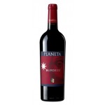 Burdese Cabernet Sauvignon I.G.T - Planeta