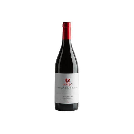 Pinot Nero 2016 - Terre Siciliane Rosso IGT - Tenuta San Michele Murgo