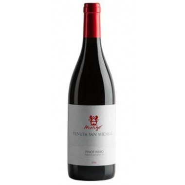 Pinot Nero 2016 - Terre Siciliane Rosso IGT - Tenuta San Michele Murgo