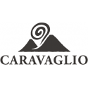 Infatata Malvasia secca 2019 - Salina IGP - Caravaglio