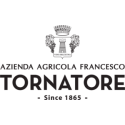 Etna Bianco D.O.C 2020 - Tornatore