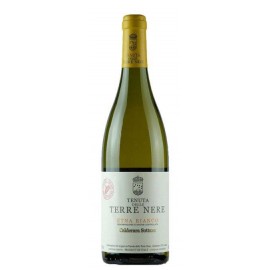 Cuvèe delle Vigne Niche - Etna Bianco D.O.C. - Calderara Sottana - Tenuta delle  Terre Nere