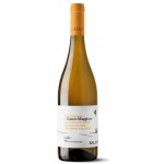 Bianco Maggiore 2015 Grillo D.O.P  Sicilia - Cantine Rallo