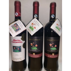 Verticale 3 Annate Maria Costanza Rosso - Az. Agr. Milazzo