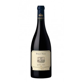 Pinot Nero 2019 - Castello Della Sala - Umbria I.G.T. - Antinori