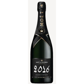 Champagne Extra Brut "Grand Vintage" 2016 - Moët & Chandon