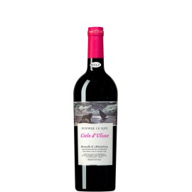 Cielo d'Ulisse Brunello di Montalcino D.O.C.G. - Podere Le Ripi